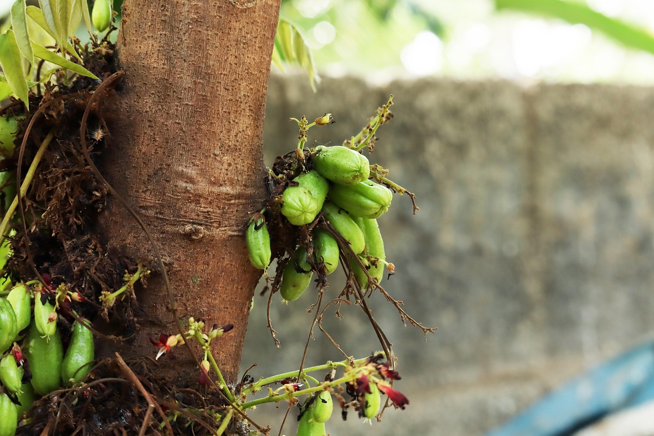 Best in 2027 Free Betting App Reviews India Review 2026: Bonus, App, Withdrawal Tested